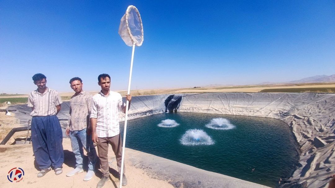 همافزایی استخرهای دومنظوره برای پرورش آبزیان و کشاورزی