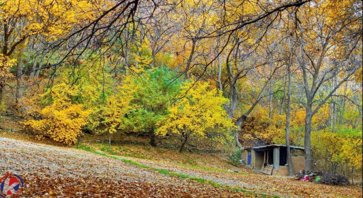 آواز آرام رنگ‌ها در پاییز کردستان